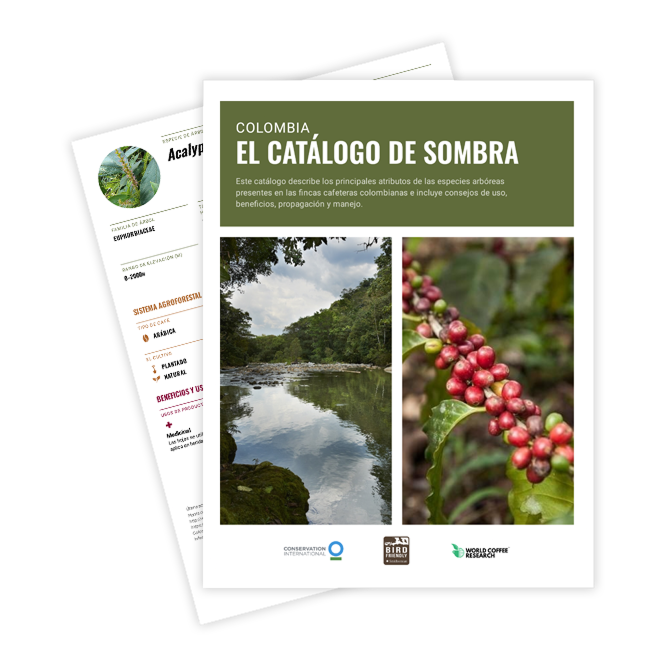 Colombia catalog graphic espanol