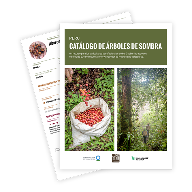 Peru catalog graphic espanol