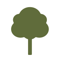 Icon, Tree Height: Large
