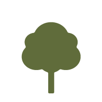 Icon, Tree Height: Medium