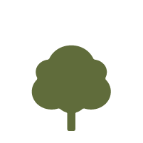 Icon, Tree Height: Small